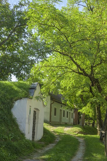 Kellergasse