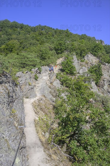 Insured route on the Vogelbergsteig