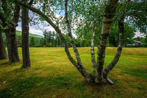 Catskills Mountains
