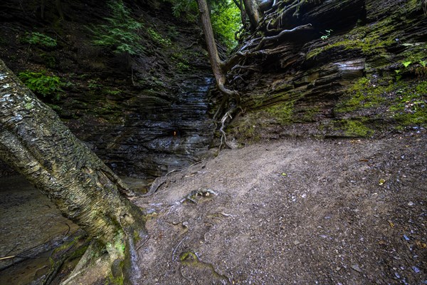 Chestnut Ridge Park Eternal Flame Falls Trail