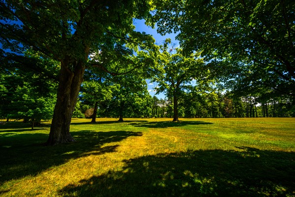 Vanderbilt Mansion National Historic Site