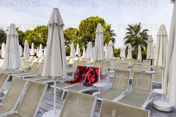 Reserved deckchairs