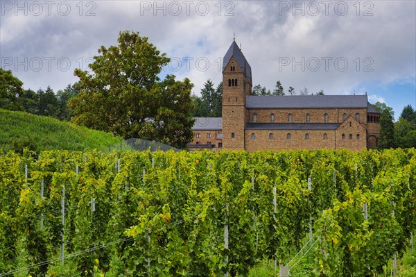Eibingen or Saint Hildegard Benedictine Abbey surrounded by vineyards, Rudesheim, Hesse, Germany,
