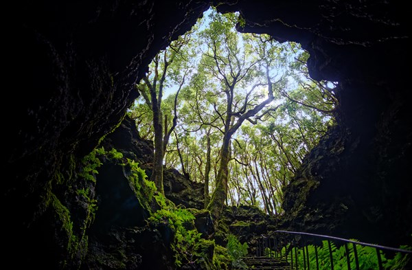 View from one of the lava tunnels Gruta das Torres to a wooded area and the sky, Gruta das Torres,