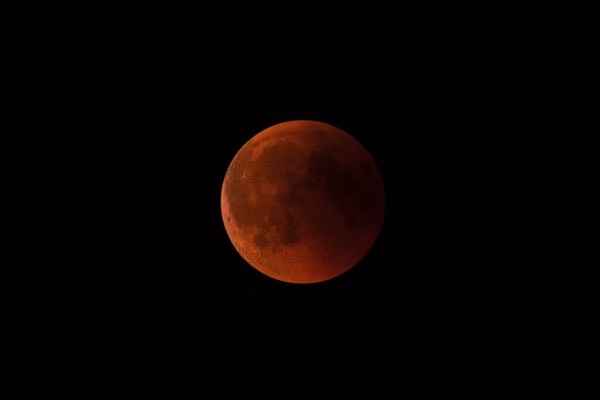 A total lunar eclipse with a reddish moon against a dark sky, Haan, North Rhine-Westphalia,