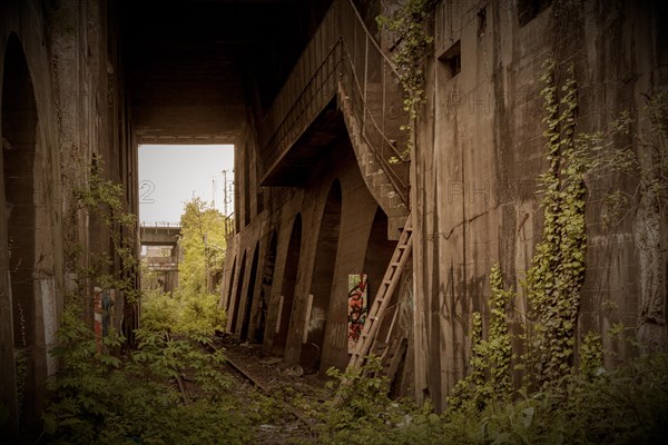 A mysterious, abandoned bridge with arches, surrounded by plants and graffiti, former railway