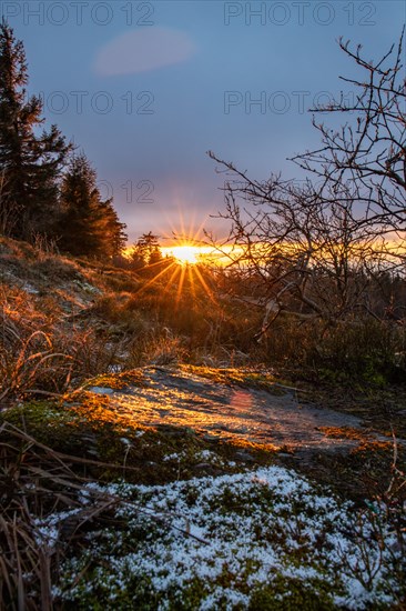 Landscape on the Grosser Feldberg, Taunus volcanic region. A cloudy, sunny winter day, meadows,