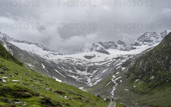 Schlegeisgrund valley, glaciated mountain peaks Hoher Weiszint and Schlegeiskees glacier, Berliner
