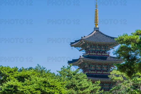Tall oriental pagoda with tiled roof and golden spire behind beautiful trees in public park on