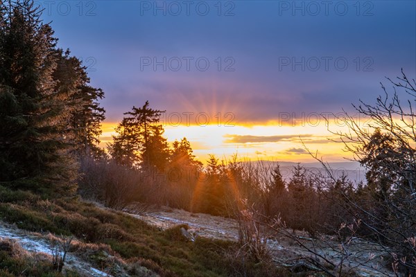 Landscape on the Grosser Feldberg, Taunus volcanic region. A cloudy, sunny winter day, meadows,