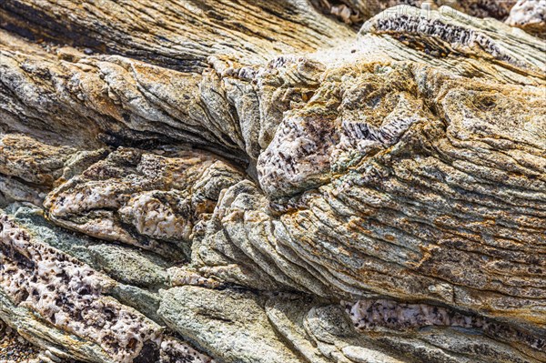 Coloured, ferruginous mineral sandstone on Topinetti beach, near Rio Marina, Elba, Tuscan