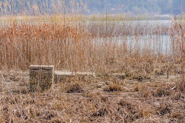 Foundation and concrete column of building in tall grass of dried riverbed with river and tall