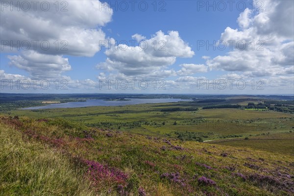 View from Mont Saint-Michel de Brasparts with heath landscape, to the reservoir Reservoir de