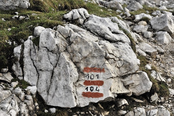 Hiking trail numbers, markings, hiking trail designations, 101, 104, Three Peaks Hiking Trail,