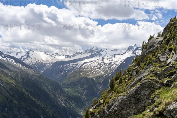Mountain panorama with glaciated summit Grosser Moeseler and Turnerkamp, Berliner Hoehenweg,