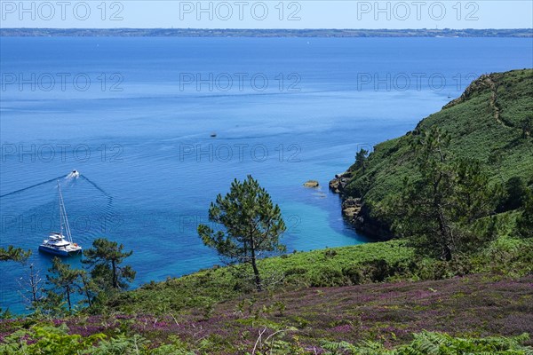 Anse St. Nicolas bay at Cap de la Chevre, heathland in the bay of Douarnenez, Crozon peninsula,
