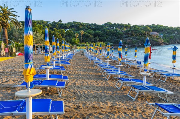 Sun loungers and parasols on Straccolignino beach at sunrise, near Capoliveri, Elba, Tuscan