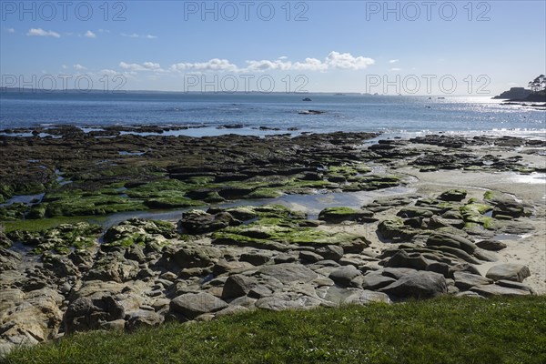 Sandy beach beach Plage Du Trez Hir in Plougonvelin on the Atlantic coast at the mouth of the Bay