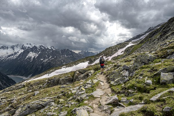 Mountaineer on hiking trail, Berliner Hoehenweg, mountain landscape with glaciated peaks Hochfeiler