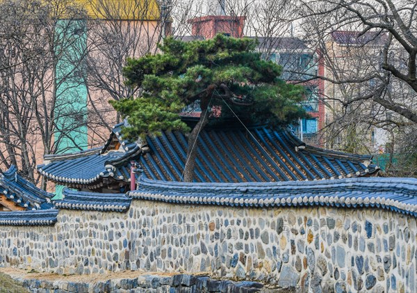 Pine tree next to roof of oriental building surrounded by a stone wall with oriental tiled top with