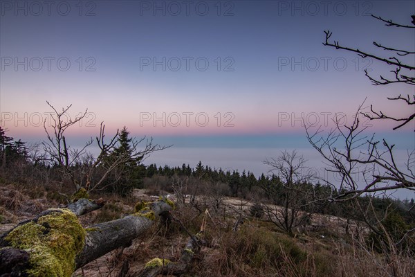 Landscape on the Grosser Feldberg, Taunus volcanic region. A cloudy, sunny winter day, meadows,