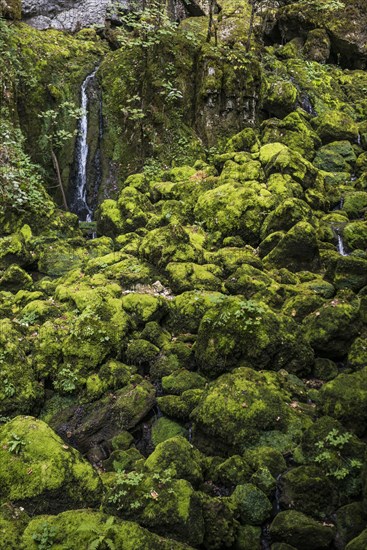 Waterfall, Source du Lison, Source des Lison, Nans-sous-Sainte-Anne, Departement Doubs,