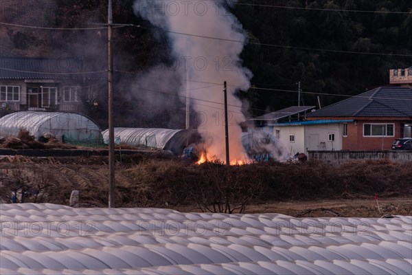 Large open fire with yellow flames and billowing smoke outside near a red brick house and three