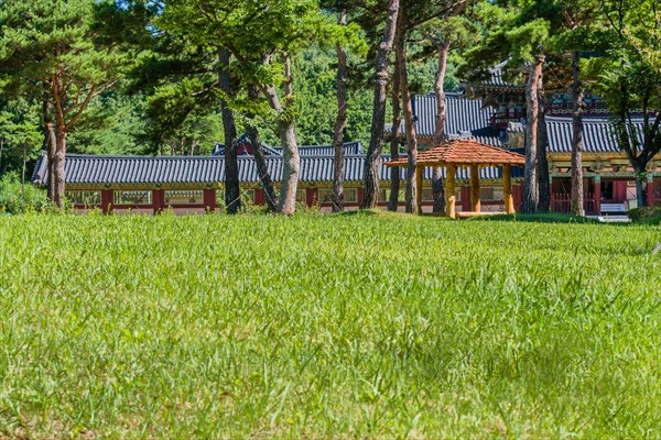 Wooden oriental gazebo with wooden tiled roof under tall trees in front of buildings with ceramic