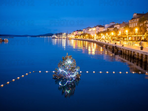 Blue hour, illuminated Christmas tree in the harbour basin, harbour of Mali Losinj, island of