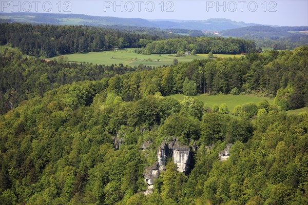 Landscape in Franconian Switzerland near Goessweinstein, district of Forchheim, Upper Franconia,