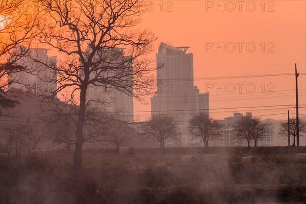Smoke in the air at sunset obscures the view of apartments and trees and creates a halloween like
