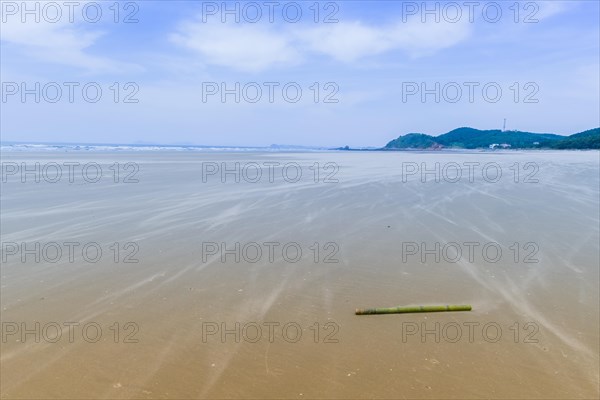 Solitary bamboo pole laying on windswept beach on cold morning with ocean waves and blue sky in