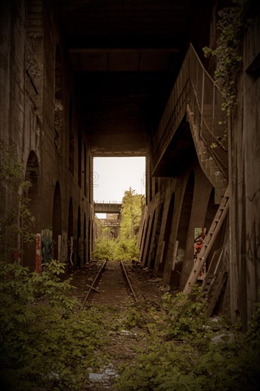 An abandoned railway structure with arches and natural overgrowth, decorated with graffiti, former