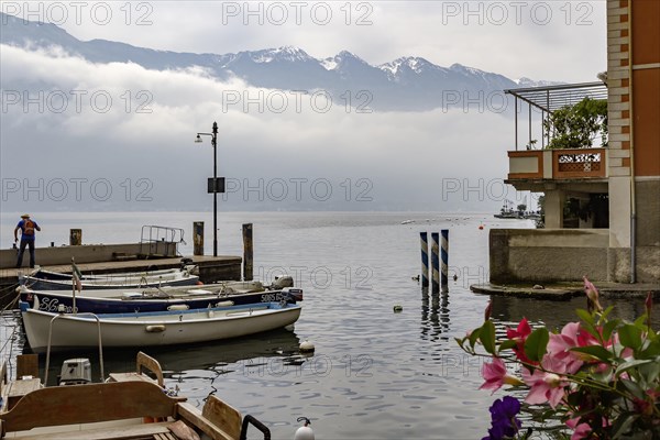 At the old harbour of Limone sul Garda, Lake Garda, Province of Brescia, Lombardy, Northern Italy,