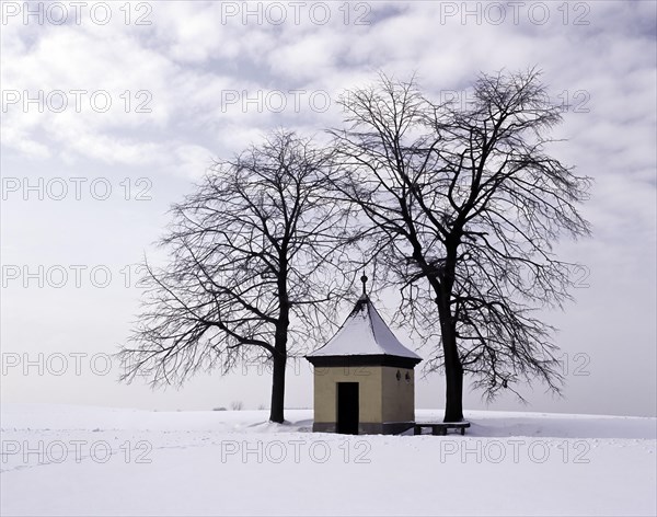 Small chapel in the Franconian Forest in winter, between two trees in a snowy landscape, district