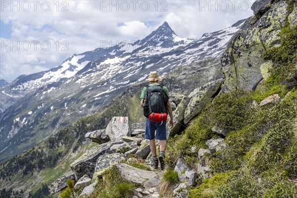Mountaineer on rocky hiking trail, Berliner Hoehenweg, mountain panorama with summit Schrammacher,
