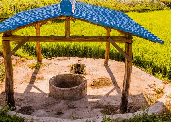 Concrete irrigation well under structure with blue metal roof at edge of rice paddy in rural