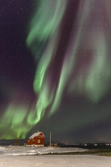Northern lights over a red house by the sea, aurora borealis, snow, winter, Kvalsund, Repparfjord,