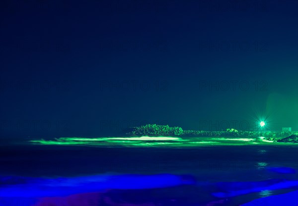 Night scene of ocean pier with single street light taken with long shutter speed creating blue