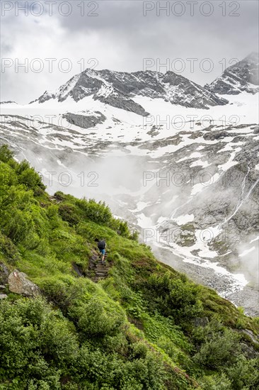 Mountaineers on a hiking trail, in the background glaciated peak Dosso Largo and glacier