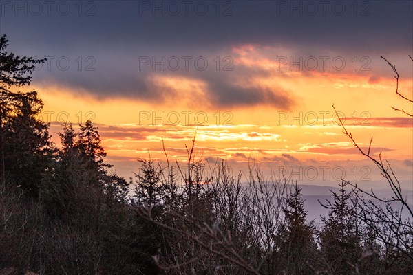 Landscape on the Grosser Feldberg, Taunus volcanic region. A cloudy, sunny winter day, meadows,