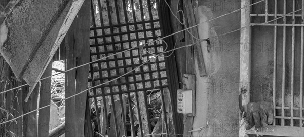 Black and white of interior of abandoned shack with wood lattice windows and an old electrical