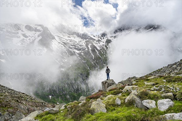 Mountaineer standing on a rock, cloudy mountain landscape with blooming alpine roses, view of rocky