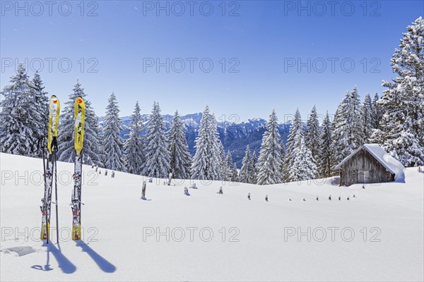 Touring skis standing in the snow in front of a hut and snow-covered trees, mountain landscape,