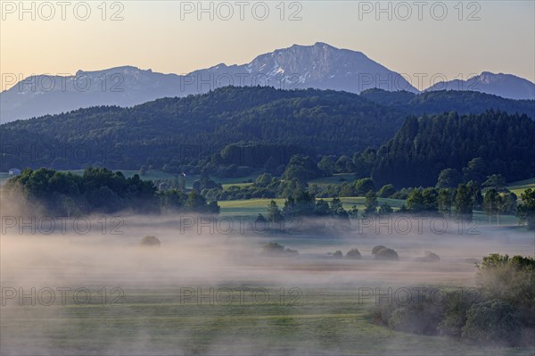 Foggy mood in front of a mountain landscape, morning light, summer, view of Benediktenwand, Alpine