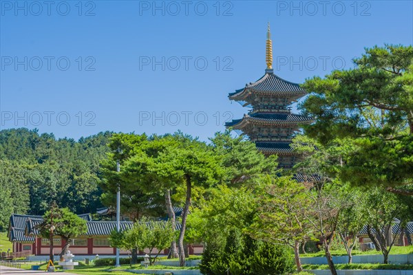 Tall oriental pagoda with tiled roof and golden spire and partial view of surrounding buildings