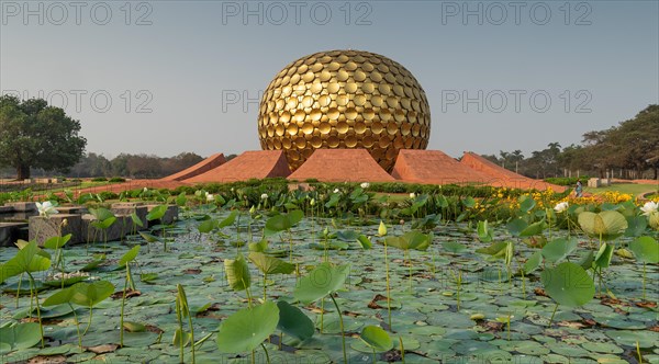 Lotus pond, meditation centre Matrimandir or Matri Mandir, future city Auroville, near Pondicherry