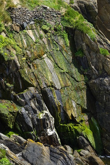 Moss-covered cliff below the Pointe Saint-Mathieu, Plougonvelin, Finistere department, Brittany