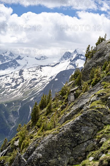 Mountain panorama with glaciated summit Grosser Moeseler and Turnerkamp, Berliner Hoehenweg,