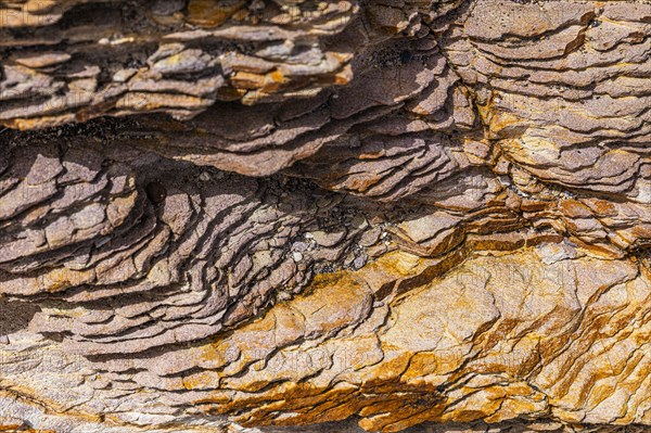 Coloured, ferruginous mineral sandstone on Topinetti beach, near Rio Marina, Elba, Tuscan